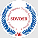 SDVOSB Business