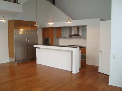 wilmot Chicago Residential Construction 3